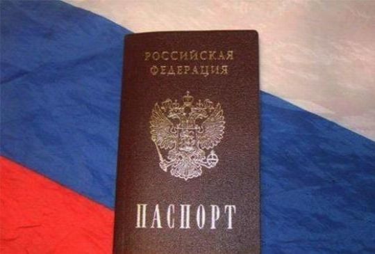 прописка в Вязьме